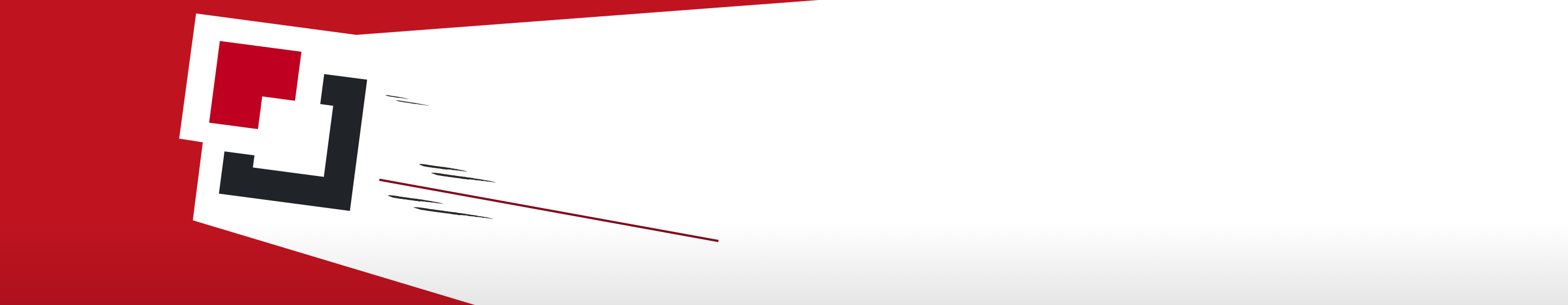 REPA partners